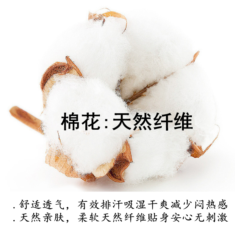 服装产品详情图